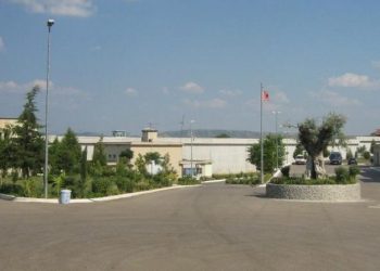 Burgu i Peqinit/ Plagoset me armë punonjësi në krye të detyrës. Pranga autorit