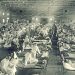 A do kemi trazira pas pandemisë? Ja çfarë na mëson historia