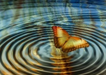 Efekti flutur i COVID-19 dhe pritja për pikun, çfarë thonë ekspertët për të ashtuquajturin “Skenari i Suezit”