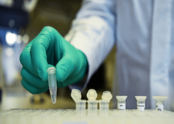 “Koronavirus.al”, një platformë për informimin e qytetarëve. 361 të prekur dhe 21 viktima, por ja sa janë shëruar