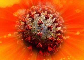 Eksperimenti/ Rrezet e diellit e shkatërrojnë virusin shpejt, por pandemia mund të zgjasë edhe…