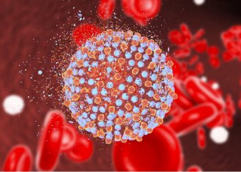 A do ketë valë të dytë dhe a bëhemi imunë pasi infektohemi? Gjithçka që ende nuk dimë për koronavirusin