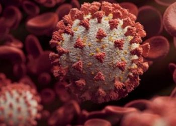 Mediat angleze zbulojnë kush po e përdor koronavirusin dhe paralajmërojnë: Shtetet liberale në prag të kolapsit!