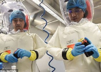 Koronavirusi/ “Burimi i infeksionit s’ishte Wuhani, por një gabim në laboratorin ku eksperimentohej me lakuriqët”