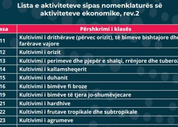 Publikohet lista në e-albania, ja të gjitha bizneset që hapen sot