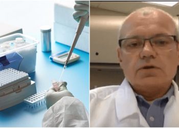 Vaksina e koronavirusit/ Mjeku shqiptar në SHBA: Duhet një vit, për 2-3 muaj do testohet tek majmun