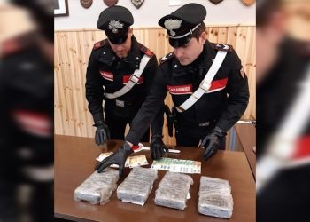 Mori leje për transportimin e kafesë, por e mbushi makinën me kokainë/ Si u kap shqiptari trafikant në Itali