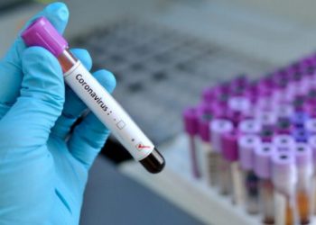 Eurostat/ Shqipëria ka më shumë të rinj! Këto janë vendet europiane që rrezikohen më shumë nga Covid-19