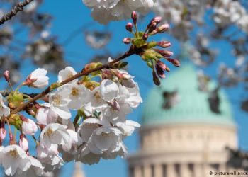 Covid-19 dhe vapa, çfarë rreziqesh pritet të sjellë vera në Evropë? Parashikimi i ekspertëve