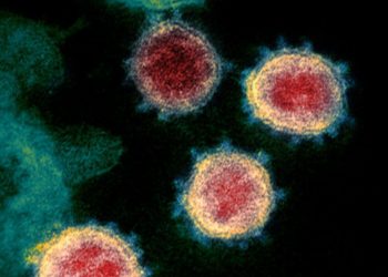 Mjeku shqiptar në Milano: Durim, pasi kjo pandemi nuk do të jetë e shkurtër