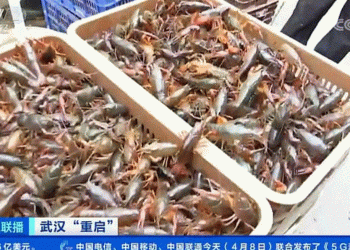 Wuhani i rikthehet normalitetit, rihap tregun gjigant me krijesa të gjalla deti