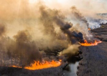 Zjarr i madh në Çernobil, Ukraina angazhon 400 zjarrfikës, rrezik nga tymi radioaktiv