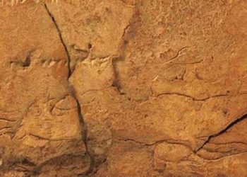 Habia në Izrael, një i mitur zbulon një pllakë balte 3,500-vjeçare