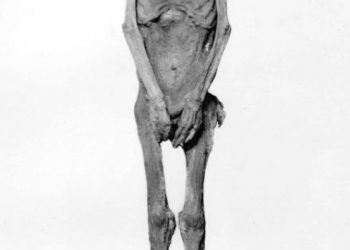 Kuriozitet/ A është zgjidhur misteri i “mumjes që ulëret”?