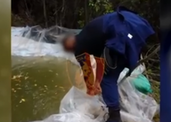 VIDEO/ FNSH dhe policia zbarkojnë në Krujë, kontrolle masive anti-drogë me dron