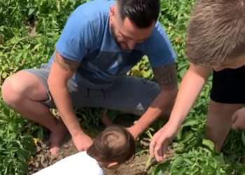 VIDEO/ Bes Kallaku me “katunaren e zemrës” shkojnë në fshat dhe mbledhin patate