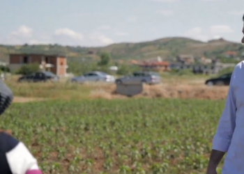 Basha takon fermerët në Rrogozhinë: Edi Rama i ka çuar në kolaps, nuk kanë marrë asnjë ndihmë