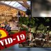 Nga e hëna hapen baret e restorantet/ Mjeku: Respektoni distancimin social, shumë shpejt do mblidhemi me…
