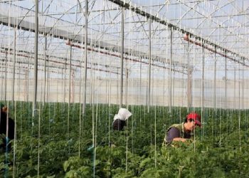 “Duan, s’duan sot ndryshimi real po ndodh”/ Rama: Nesër hapen aplikimet për financime në bujqësi