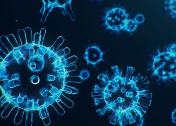 OBSH-ja raporton numrin më të lartë të rasteve me COVID-19, brenda një dite