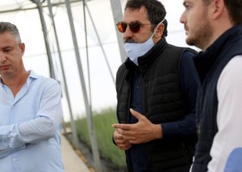 Subvencionet në bujqësi/ Çuçi thirrje fermerëve: Aplikoni deri më 19 qershor