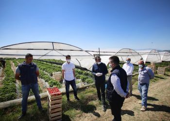 Mbështetja për bujqësinë, rimbursohet TVSH-ja për fermerët që rinovojnë plastmasin e serrave