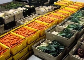 Trendi i eksporteve në rritje/ Janë 289 kamionë me perime te freskëta nga Lushnja dhe Fieri brenda një jave