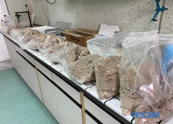 Droga në Itali/Fitime marramendëse për shkak të karantinës, në pranga shqiptarët