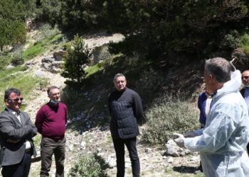 Meta e konsideroi betejë të vështirë, Klosi shfaqet optimist: Procesionarja po luftohet biologjikisht