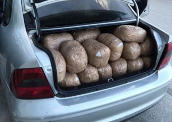 Koronavirusi u mori karteleve të drogës miliona dollarë