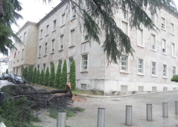 FOTO/ Rrëzohet pema tek Kryeministria, shpëtojnë mrekullisht dy gardistët