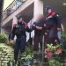 ‘A u pjek rrushi? Si sinjalizonin anëtarët e bandës njëri-tjetrin për policinë. Në pranga vëllai i bashkisë Fushë-Arrëz