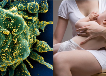 Studimi: Qumështi i gjirit dhe ai i dhisë të rëndësishëm në luftën ndaj COVID-19 (Arsyet)