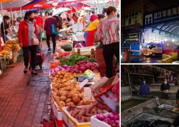 Studimi/ COVID-19 nuk erdhi nga kafshët e tregut të Vuhan?!