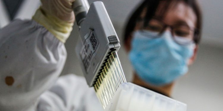 BEIJING, March 16, 2020 . A staff member tests samples of the COVID-19 inactivated vaccine at a laboratory of Sinovac Biotech Ltd., in Beijing, capital of China, March 16, 2020. China has approved two COVID-19 inactivated vaccine candidates for clinical trials, according to the State Council joint prevention and control mechanism against the coronavirus Tuesday.
   The two vaccine candidates are developed by Wuhan Institute of Biological Products under the China National Pharmaceutical Group ,Sinopharm, and Sinovac Research and Development Co., Ltd, a company based in Beijing. Clinical trials of the two vaccines have started. (Photo by Zhang Yuwei/Xinhua via Getty) (Xinhua/Zhang Yuwei via Getty Images)