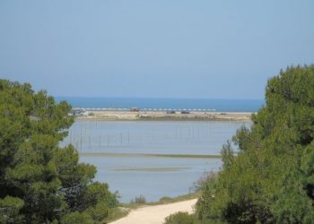 Durrës/ Gjendet i mbytur një 37-vjeçar në bregdet, detaje