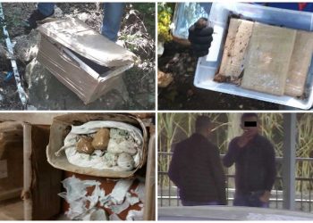 VIDEO/ Më shumë se 1 mln euro kokainë e 355 mijë euro cash: Ja shqiptarët e arrestuar nga operacioni “Pylli i Pishave” (Emrat)