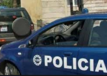 Berat/ “Plas” druri mes fqinjve për gardhin, një prej tyre plagoset në kokë