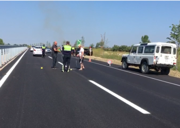 Aksident në Bypass-in e Fierit/ Përplasen dy makina, plagoset një person