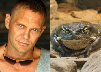 Vrau shokun me helm bretkose, arrestohet aktori i filmave për të rritur