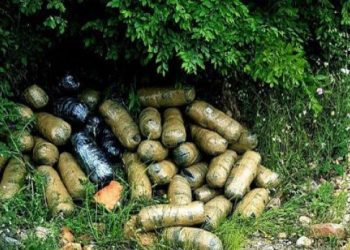 Vlorë/Gjenden 43 kg drogë e fshehur mes shkurreve, policia kërkon poseduesin