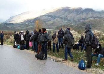 Kalimi i paligjshëm/ Goditen tre raste në Devoll, Maliq dhe Pogradec, 5 në pranga, kapen 17 të huaj nga vendet e treta