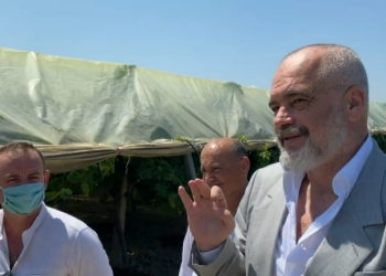 VIDEO/ Rama viziton serat e rrushit në Libofshë: Tregon formulën “magjike” të mësuesit të tij në lidhje me shitjet