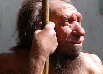 Kuriozitet/Genet e trashëguara nga Neandertalët para 60,000 vjetëve, po rrisin vdekjet nga Covid-19