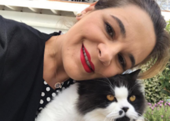 Sikur çdo grua, të kishte vaskë për macet Monika?