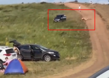 VIDEO/ Harroi pa ngritur frenat e dorës, makina pa shofer zbret nga kodra dhe shkon drejt familjeve që po bënin piknik