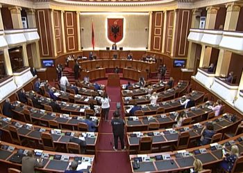 Nga Maliqi tek Alimadhi, Gjuzi e Roshi/ Kush janë 10 deputetët që votuan kundër ndryshimeve kushtetuese