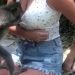 VIDEO / Majmuni i hipën turistes mbi prehër, përpiqet t’i zbërthejë pantallonat dhe…