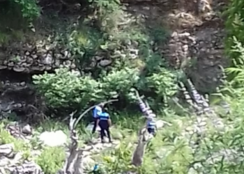 Bie nga pema teksa priste degën, ndërron jetë në vend 62-vjeçari