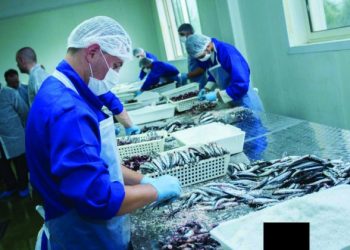 Eksportet e peshkut, rritje mbi 30%/ Zv. ministri Kristo: Paga minimale shkon në 1 mijë euro, por të rinjtë e refuzojnë